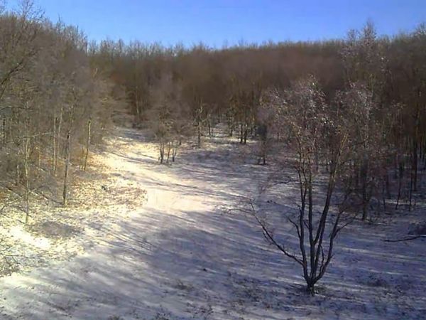 V/L 135th Avenue, Leroy, MI 49655