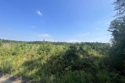 Mahogany Lane photo 4