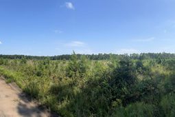 Mahogany Lane photo 4