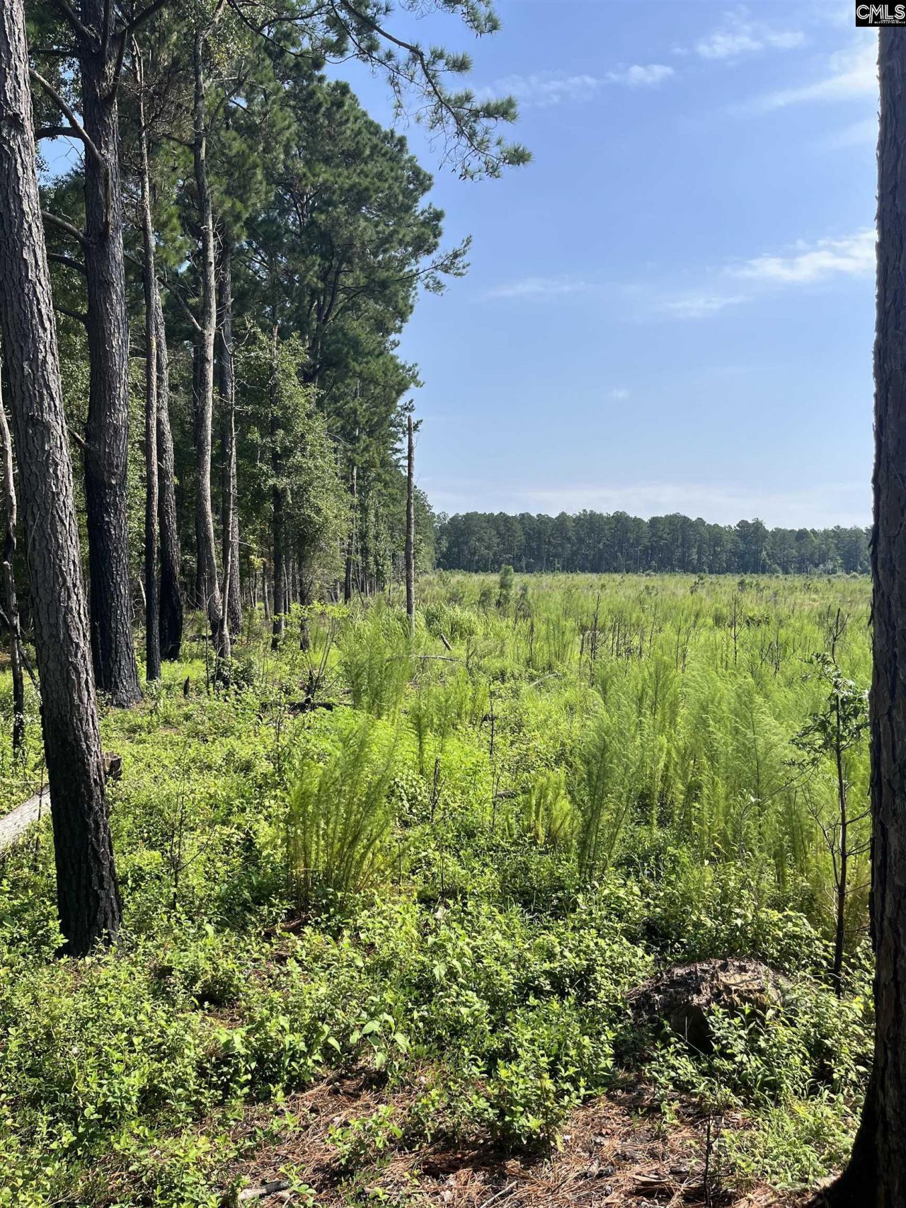 Mahogany Lane Photo 4