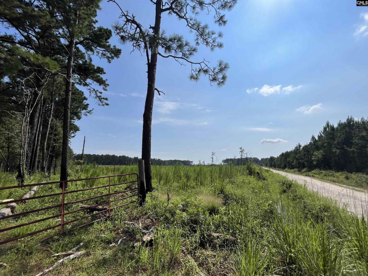 Mahogany Lane Photo 5