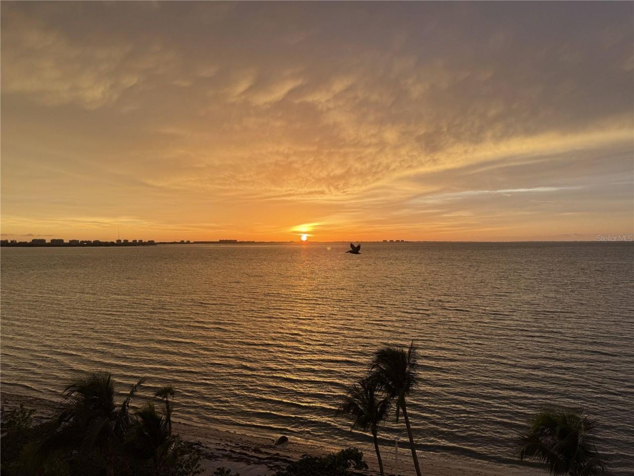 11 Sunset Drive , Unit 502, Sarasota, FL 34236 Photo
