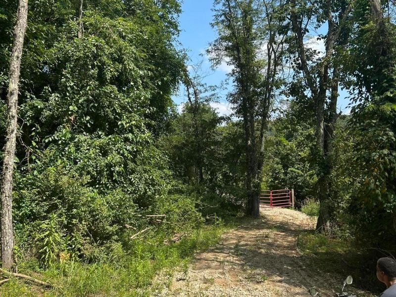 6227 Guinn Road, McConnelsville, OH 43756 Photo 10