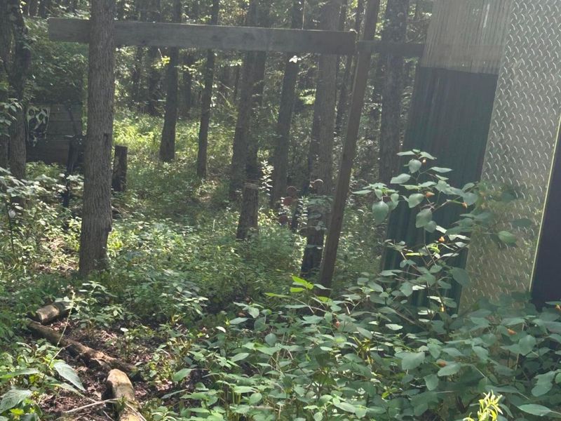 6227 Guinn Road, McConnelsville, OH 43756 Photo 2