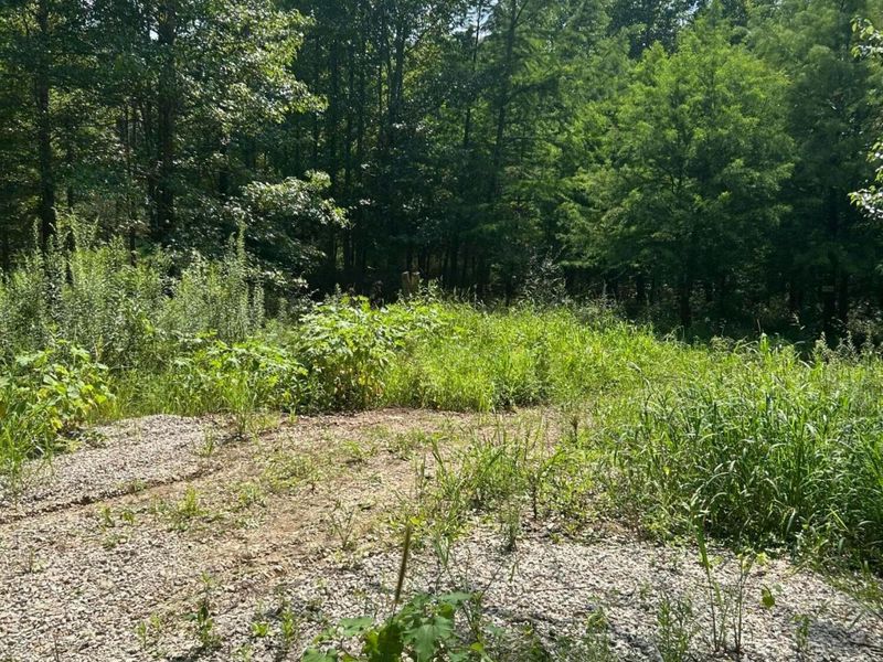 6227 Guinn Road, McConnelsville, OH 43756 Photo 3