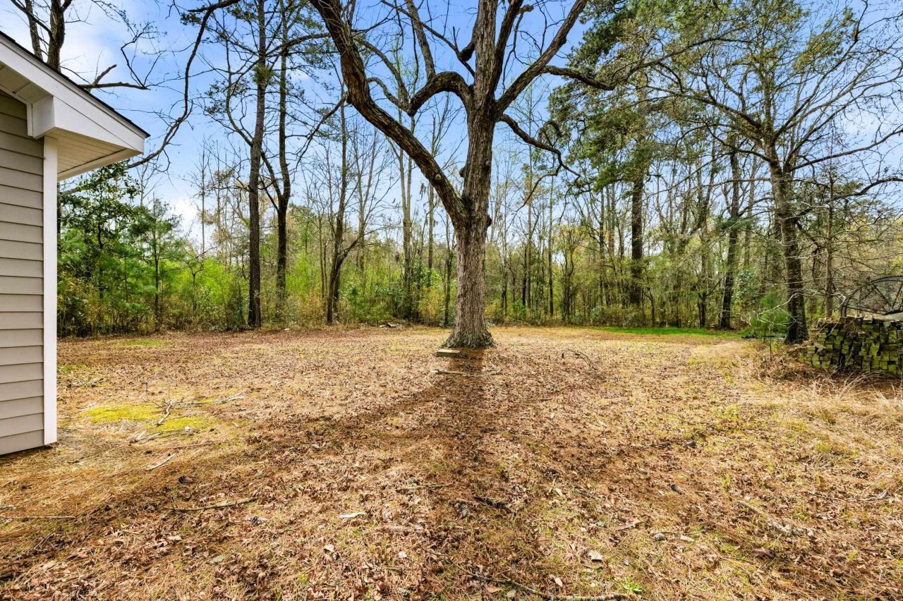 3955 Juniper Bay Rd. Photo 31