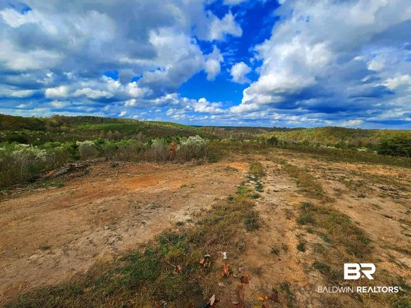 0 County Road 79, Waterloo, AL 36577