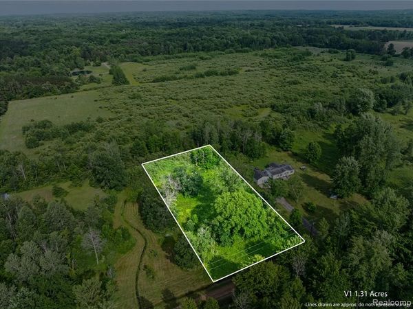 #0078 V/L Natures Nest Road, Vassar, MI 48768