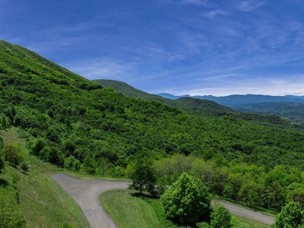 C613 Buffalo Nvno, Trade, TN 37691