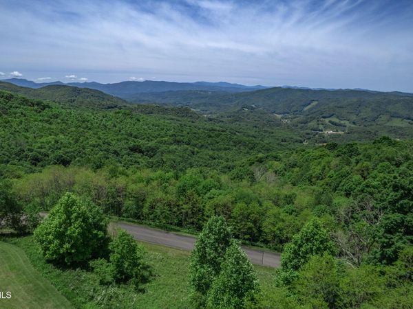 C614 Buffalo Nvno Road, Trade, TN 37691