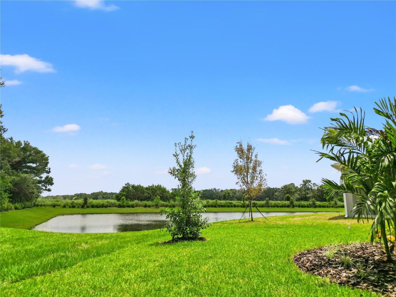 11908 Richmond Trail , Parrish, FL 34219 Photo