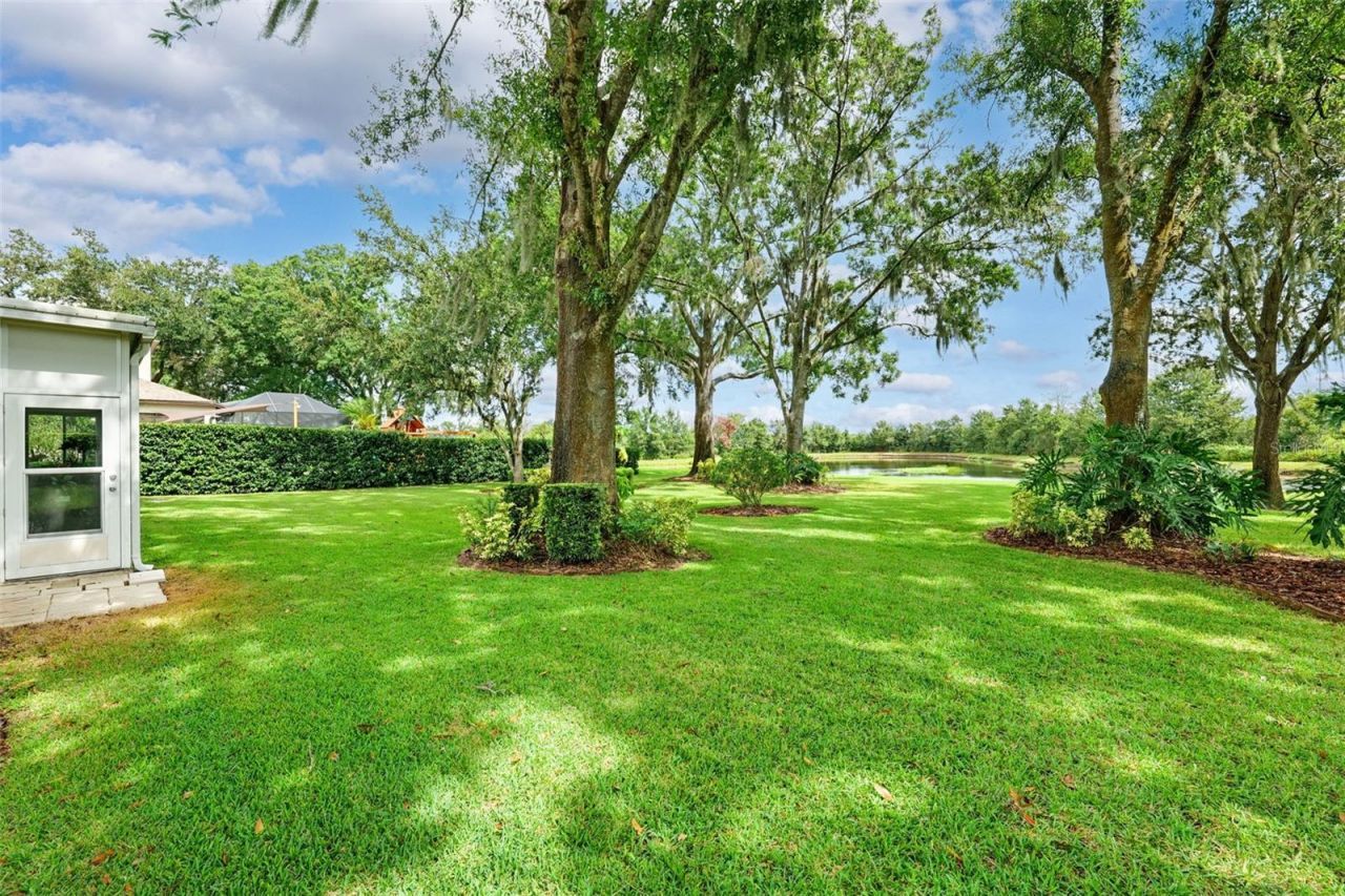 19737 Prince Benjamin Drive , Lutz, FL 33549 Photo