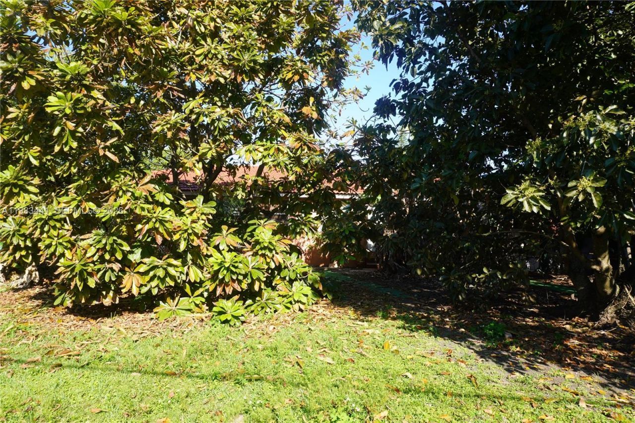 2660 SW 36th Ave, Miami, FL 33133 Photo