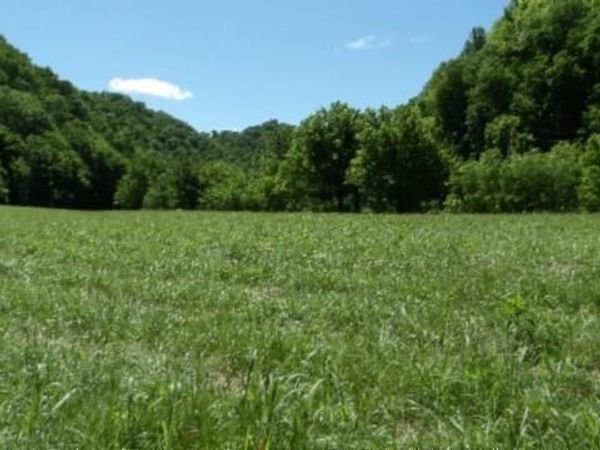 5155 Brimestone Creek Rd, Moss, TN 38575