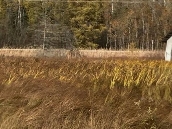 4365 W M48, Pickford, MI 49774