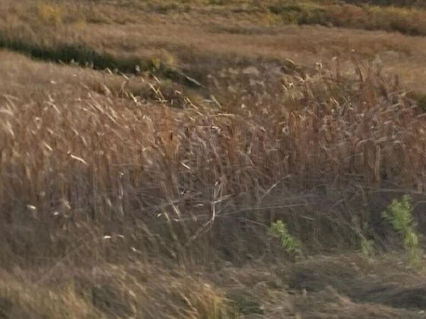 0 W M48, Pickford, MI 49774