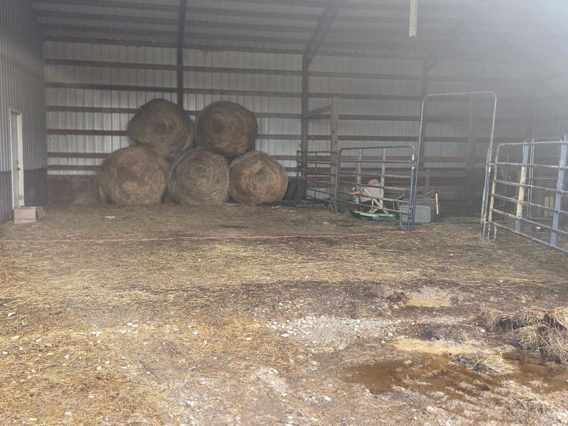 895 Hale Road, Wilmington, OH 45177 Photo 7