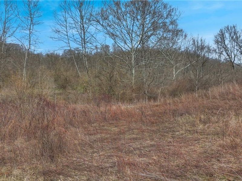 0 Fogle, Caldwell, OH 43724 Photo 10