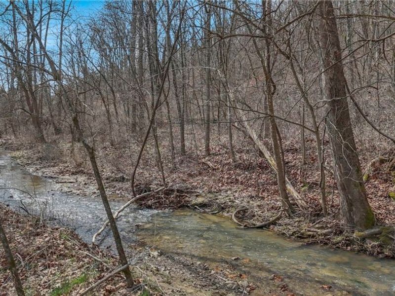 0 Fogle, Caldwell, OH 43724 Photo 6