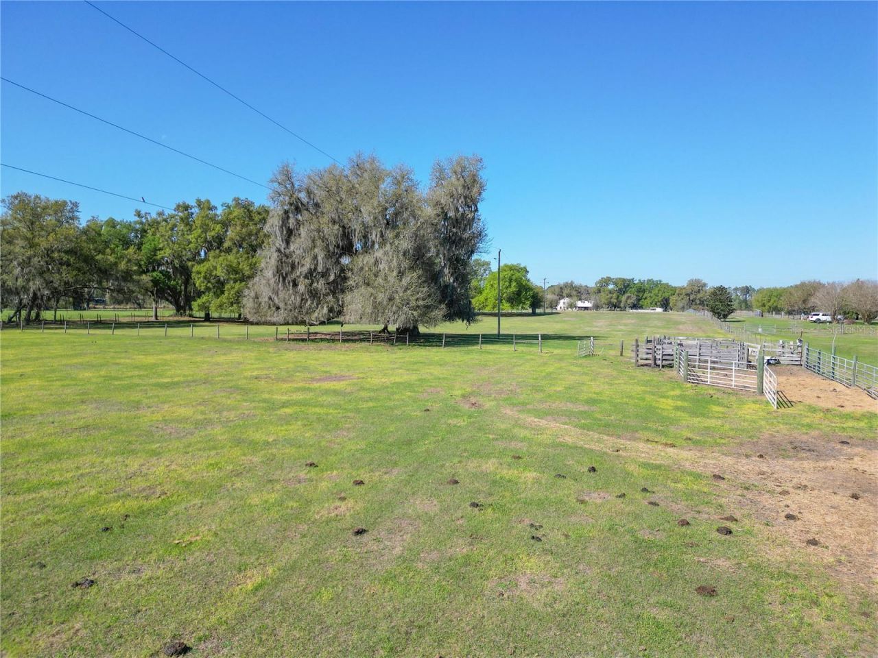 721 Cr 721, Webster, FL 33597 Photo