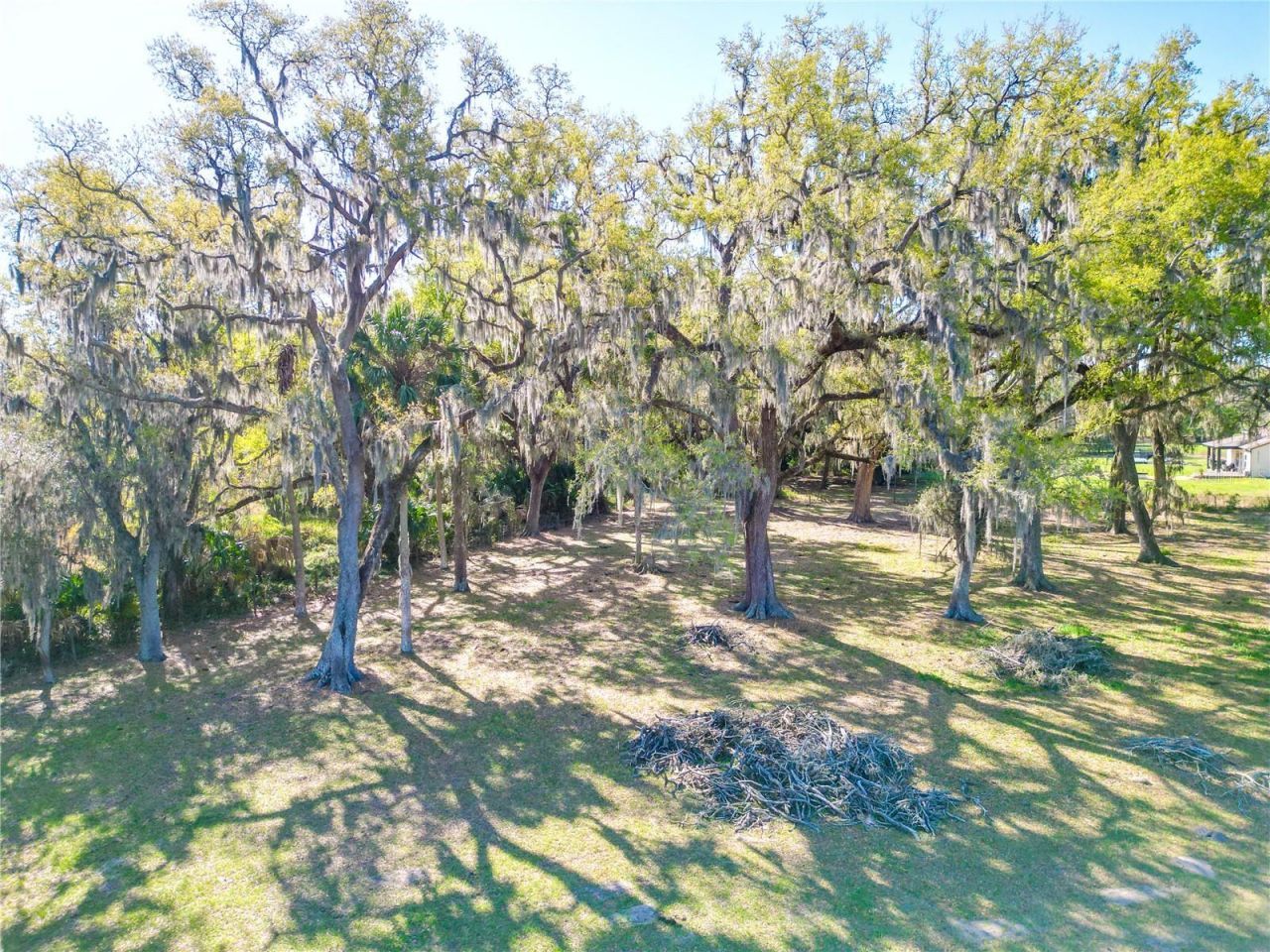 721 Cr 721, Webster, FL 33597 Photo