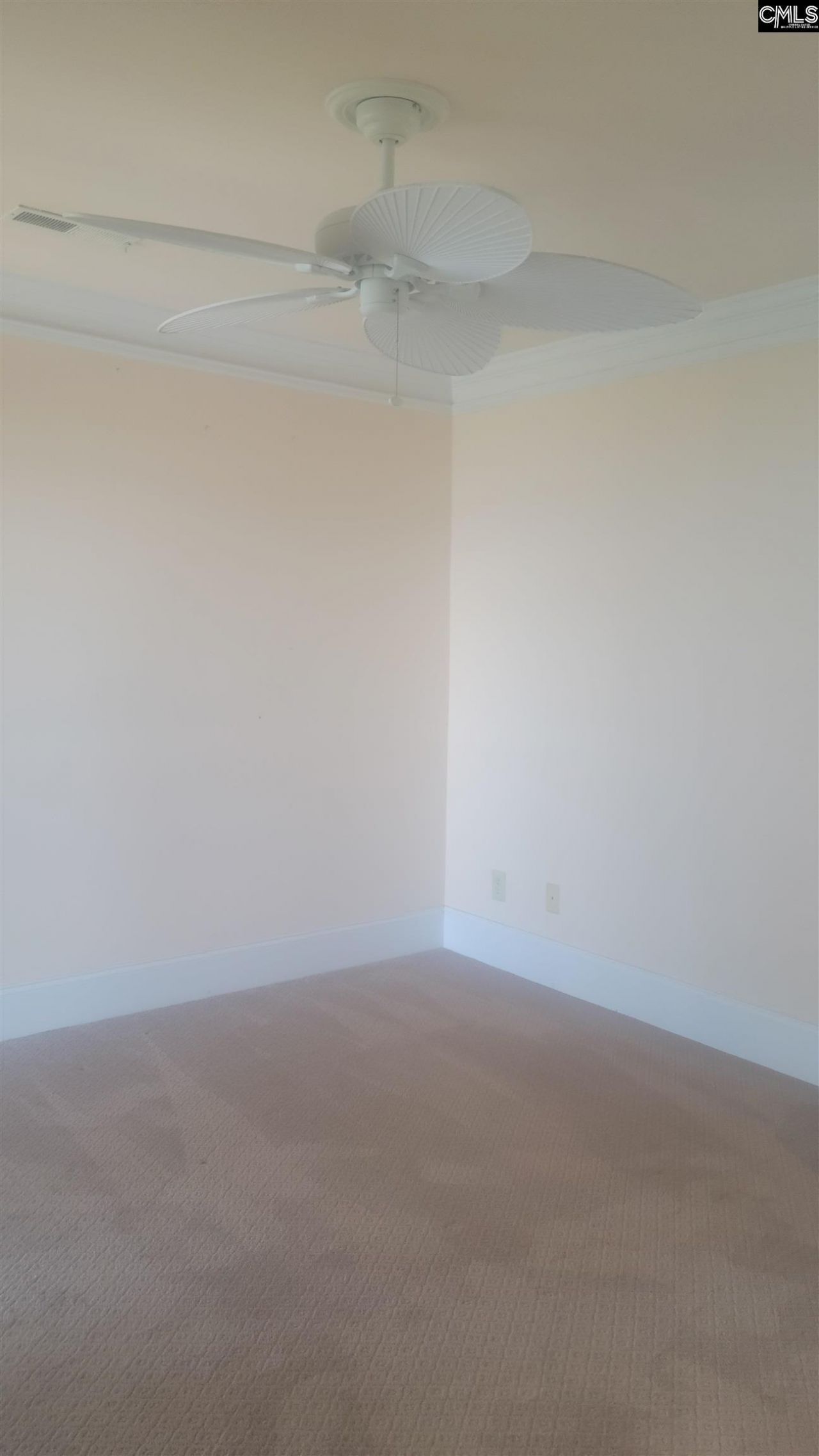 1441 Old Chapin Road Photo 10