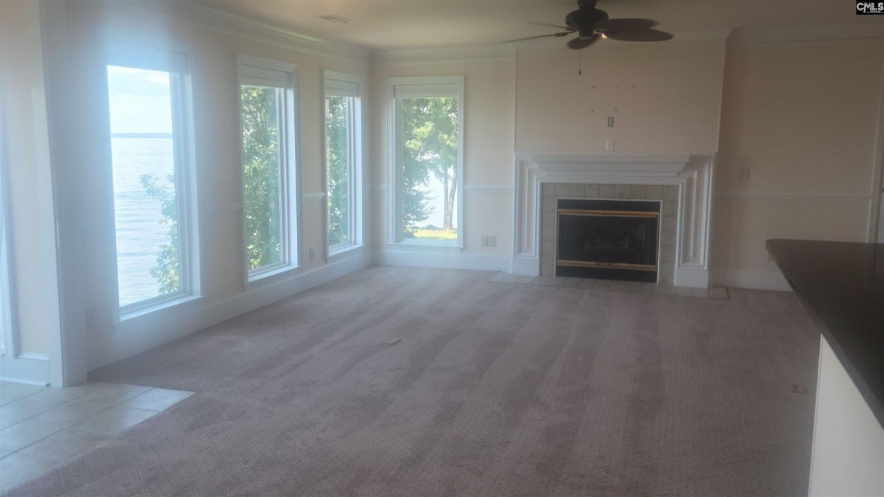 1441 Old Chapin Road Photo 11