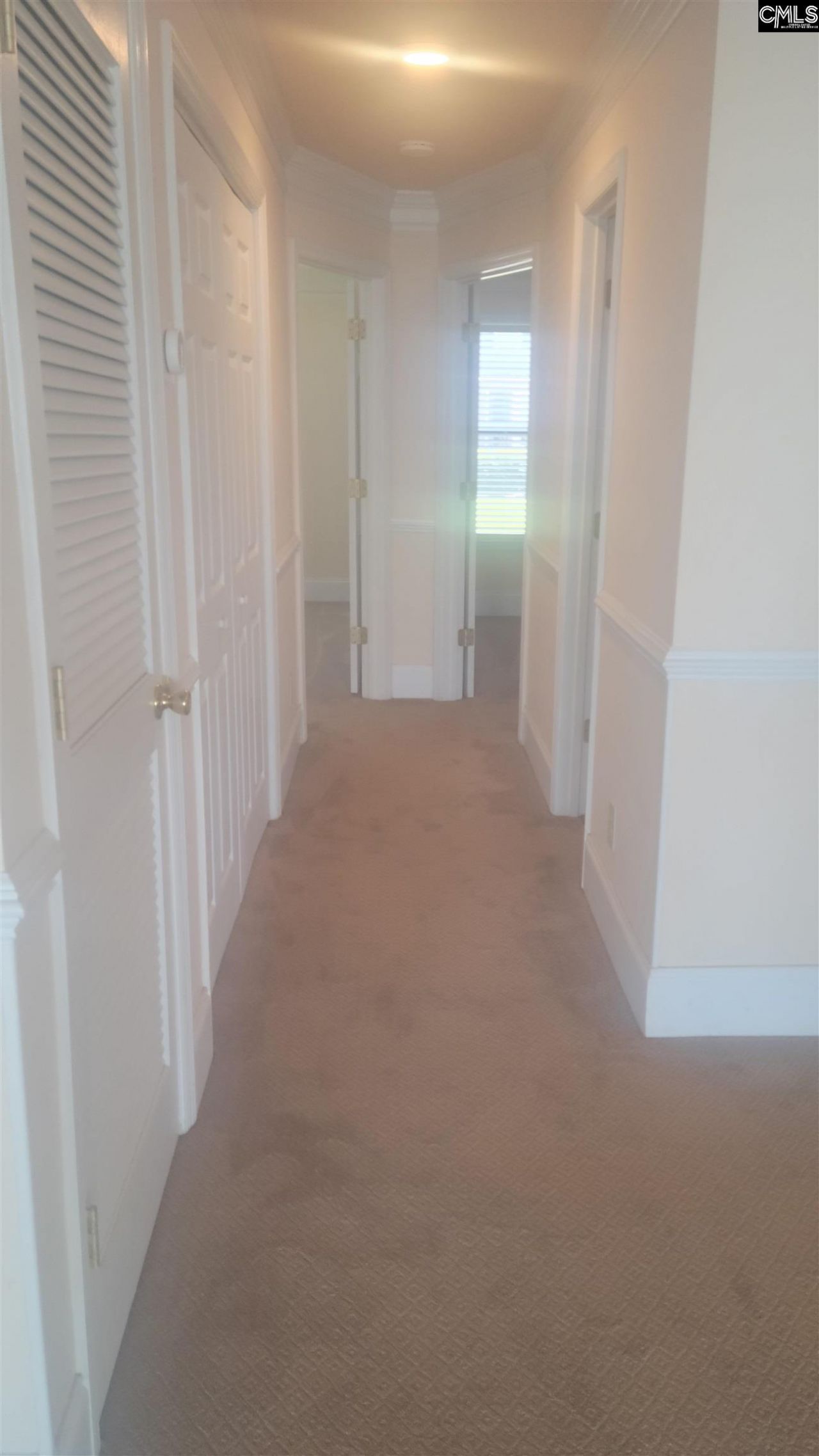 1441 Old Chapin Road Photo 12