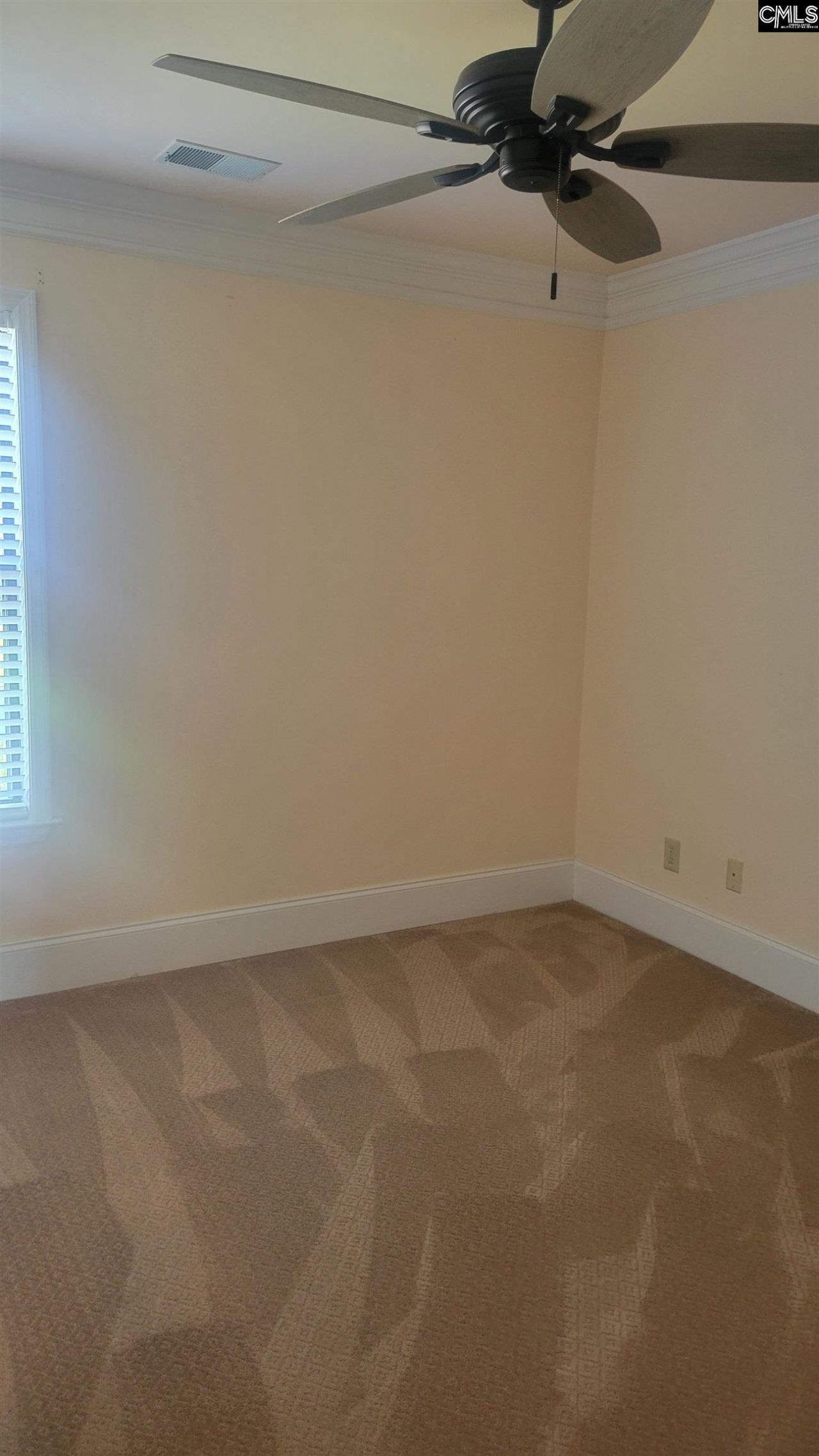 1441 Old Chapin Road Photo 15