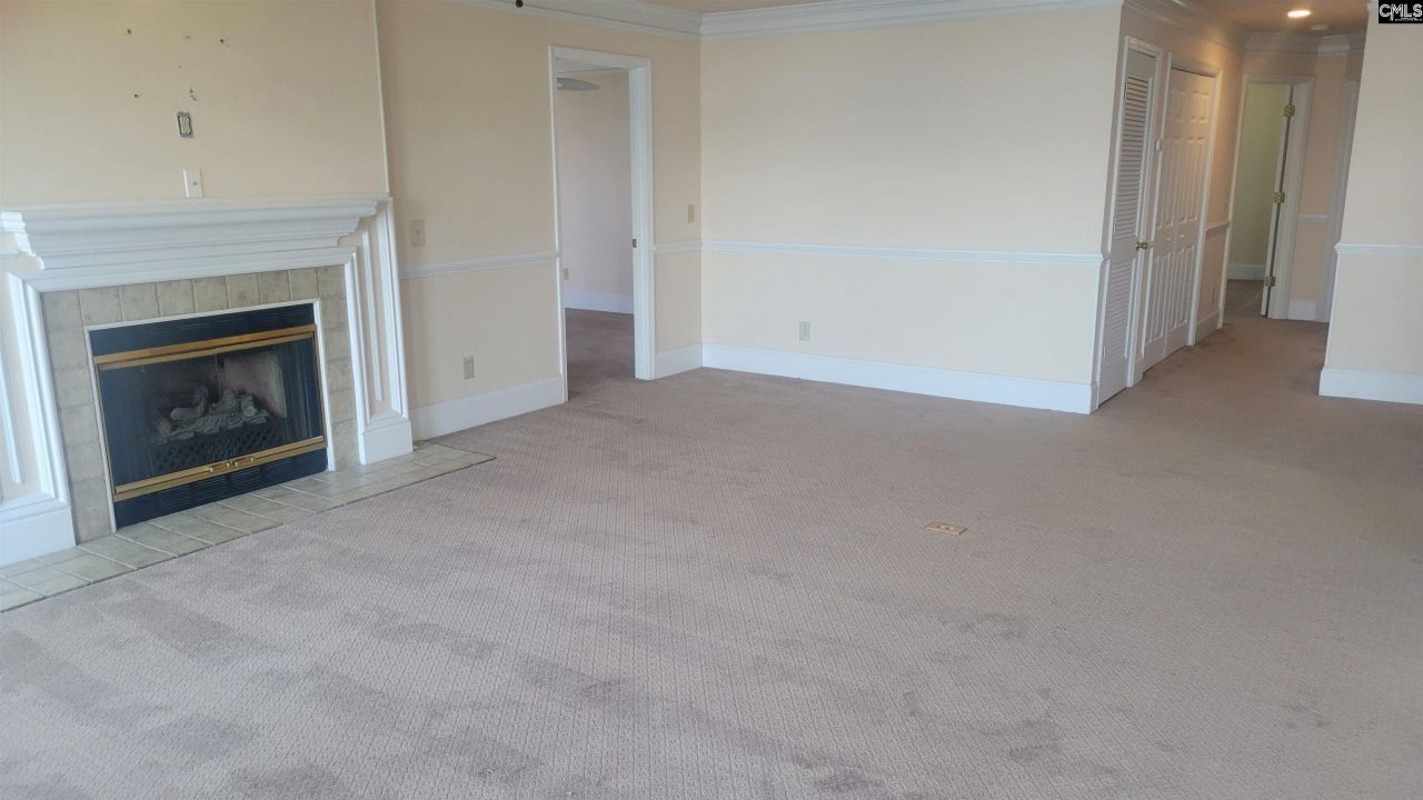 1441 Old Chapin Road Photo 17