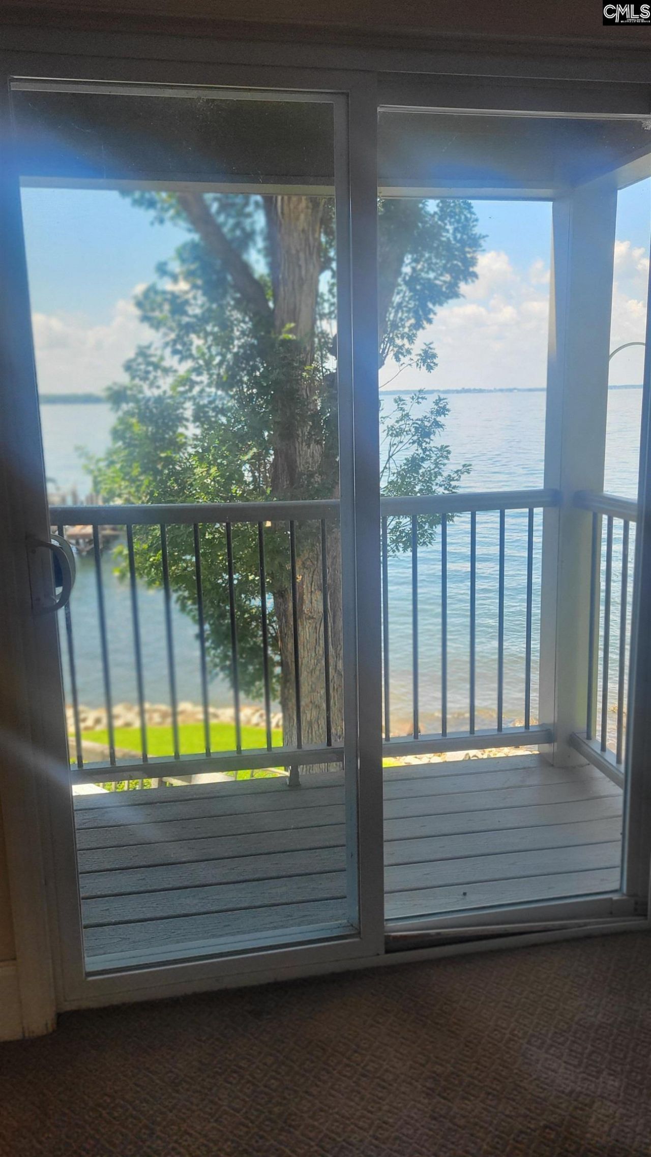 1441 Old Chapin Road Photo 21