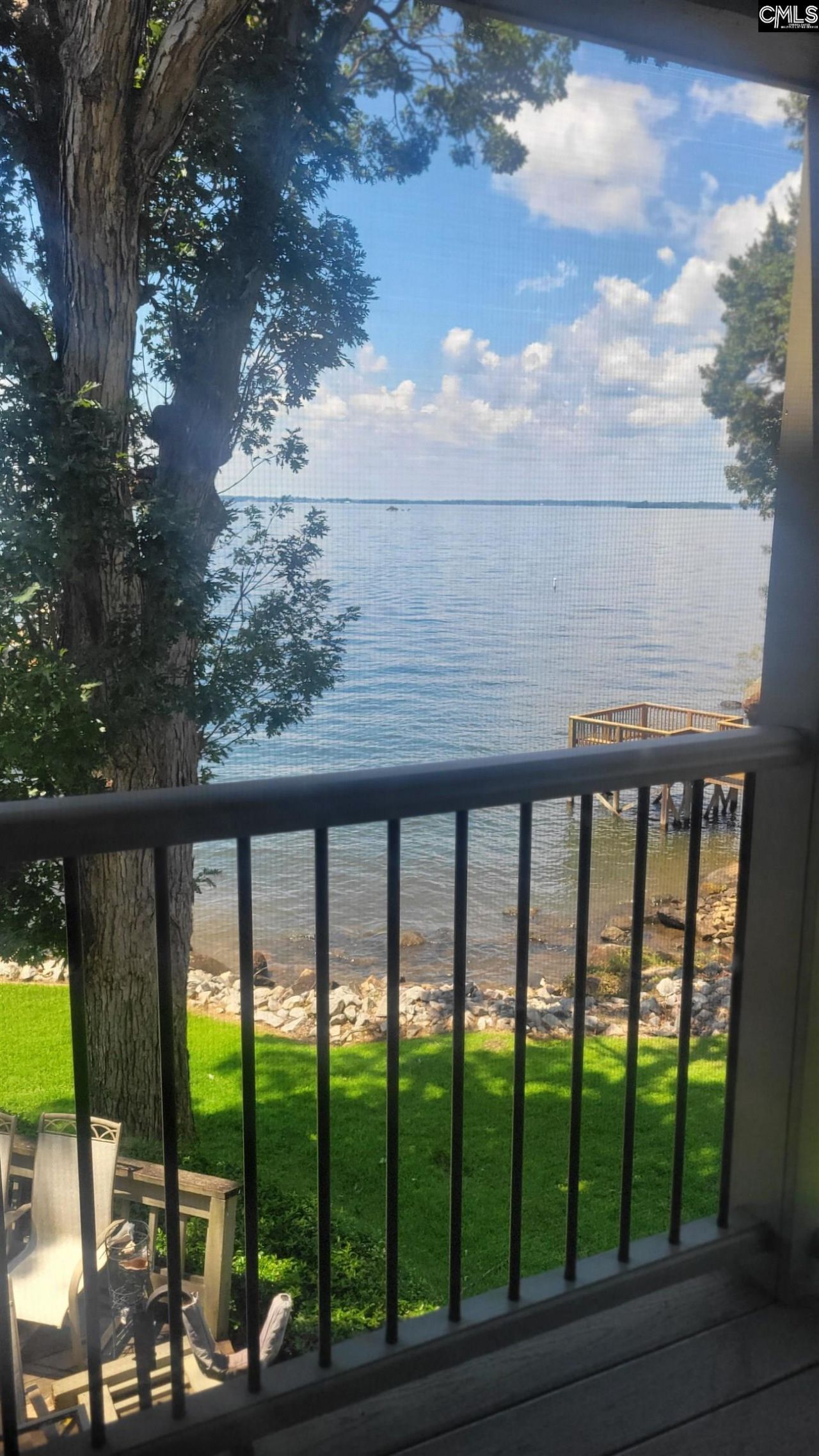 1441 Old Chapin Road Photo 22