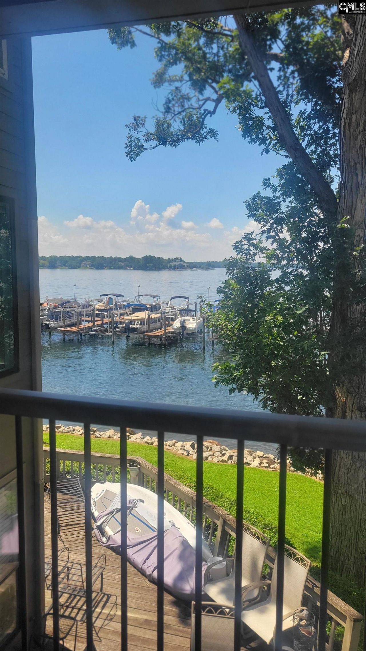 1441 Old Chapin Road Photo 23