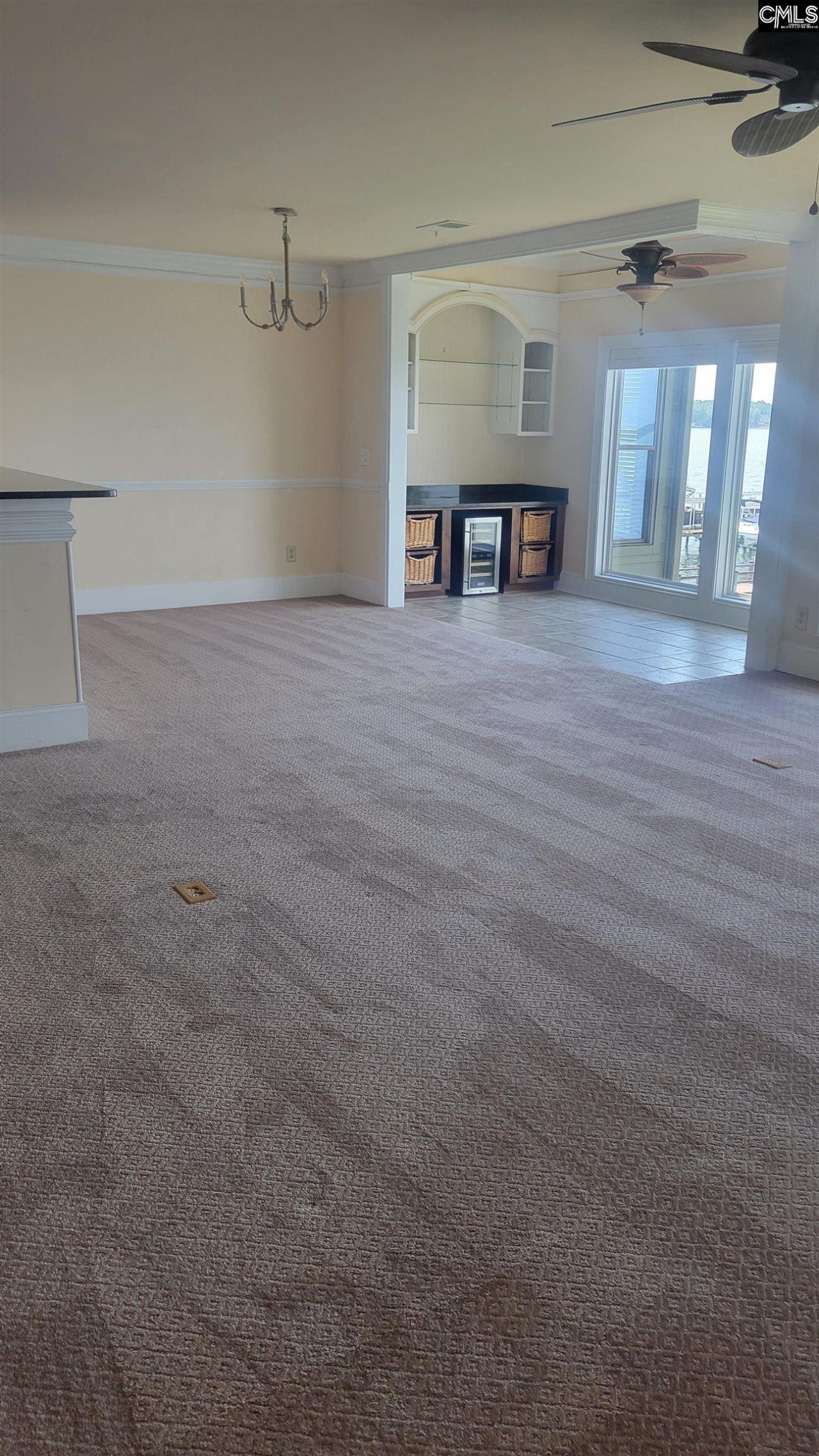 1441 Old Chapin Road Photo 24