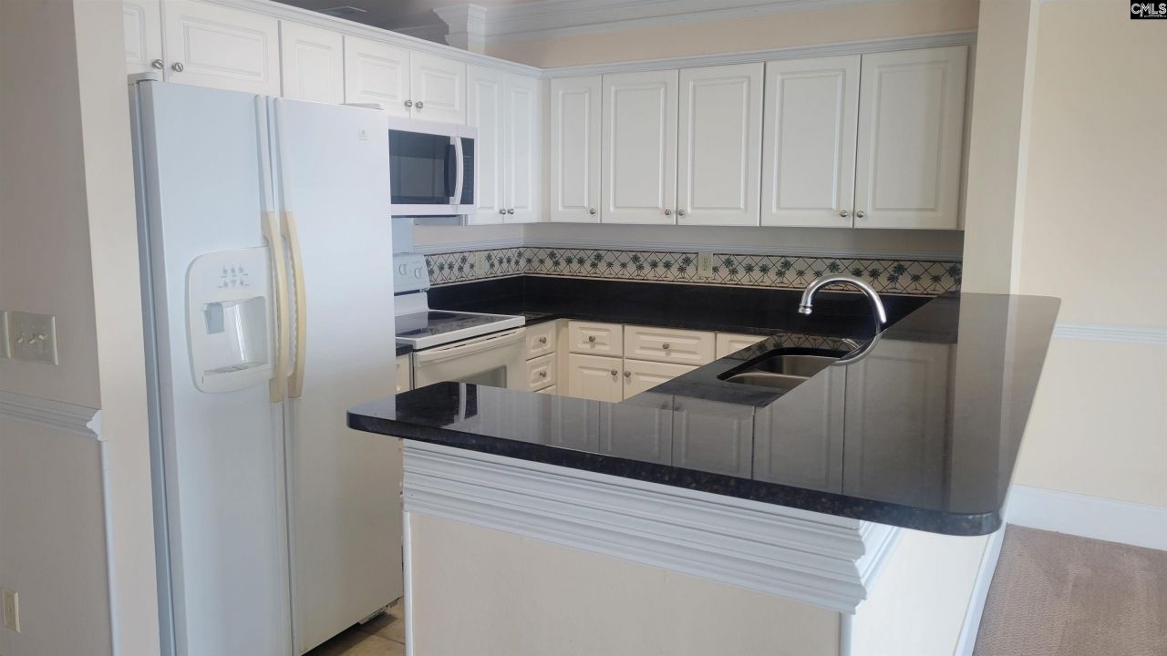 1441 Old Chapin Road Photo 27