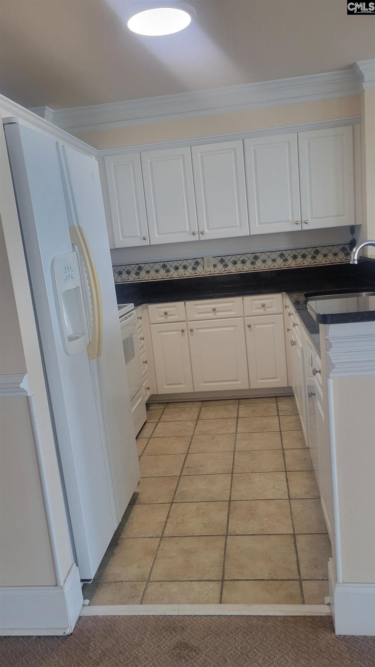 1441 Old Chapin Road Photo 28