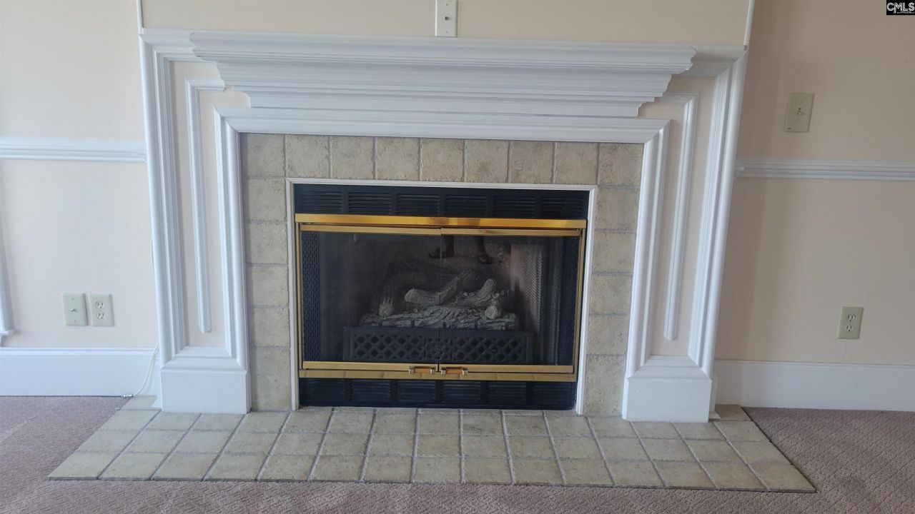 1441 Old Chapin Road Photo 31