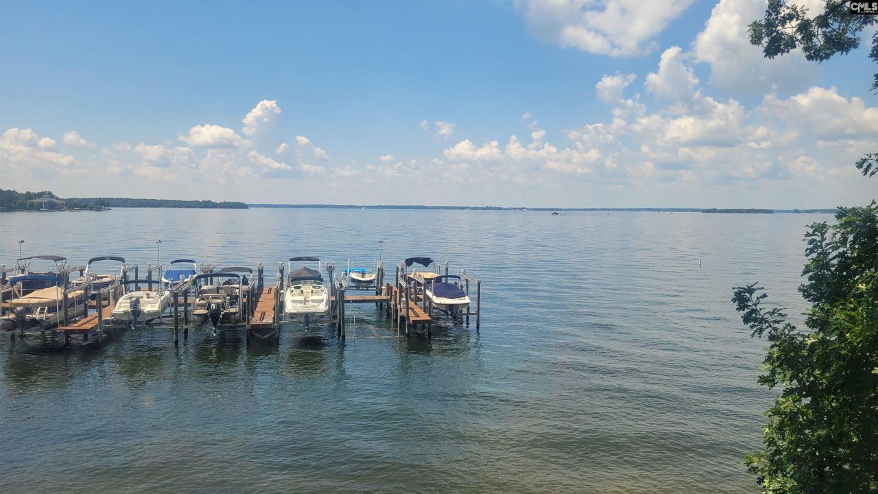 1441 Old Chapin Road Photo 32