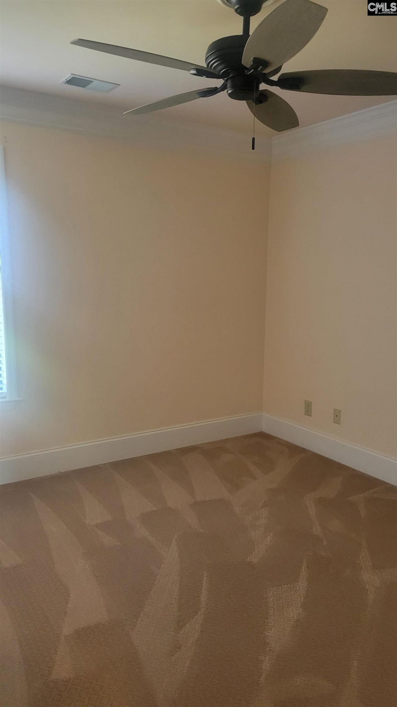 1441 Old Chapin Road Photo 34