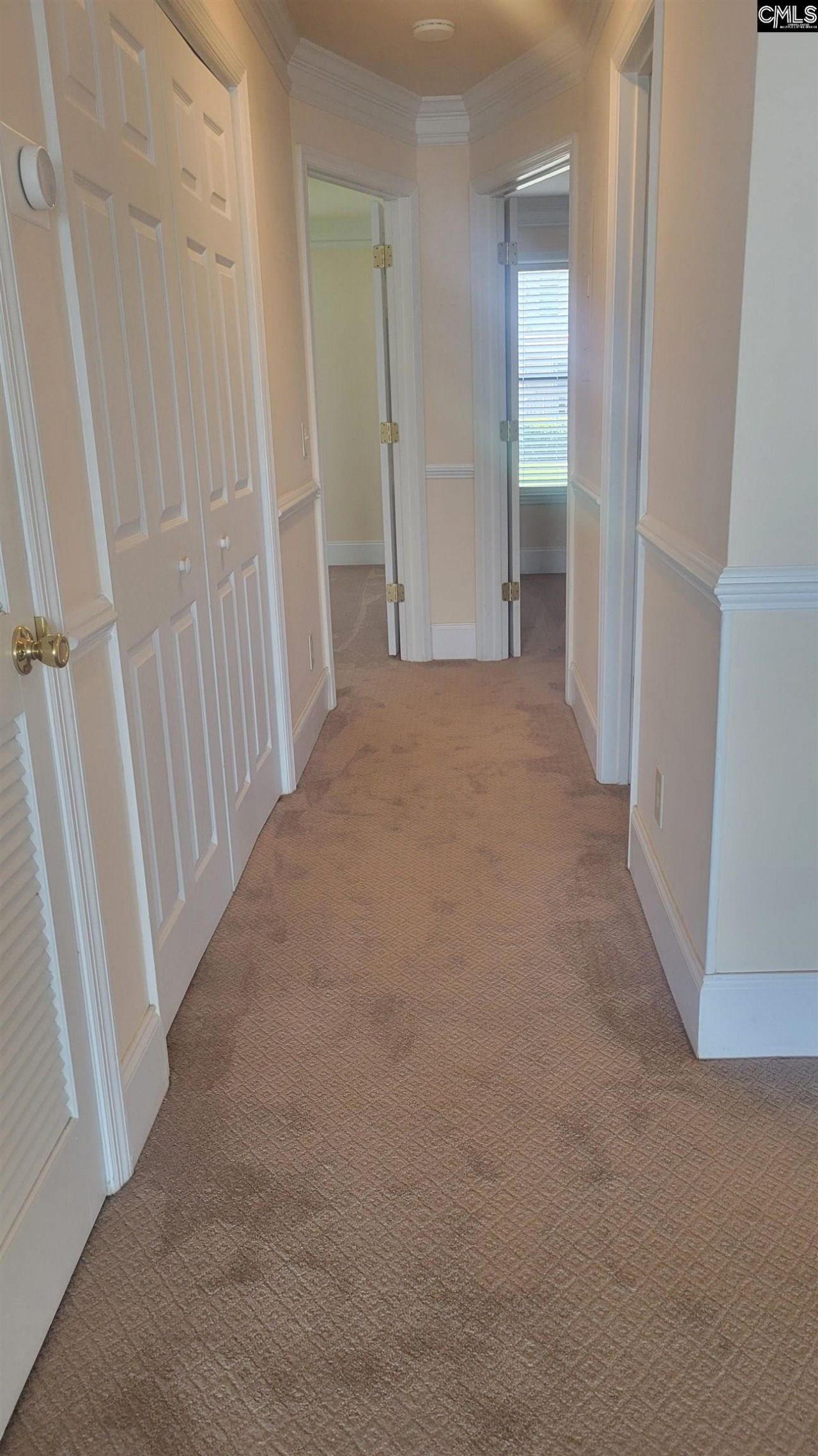 1441 Old Chapin Road Photo 36