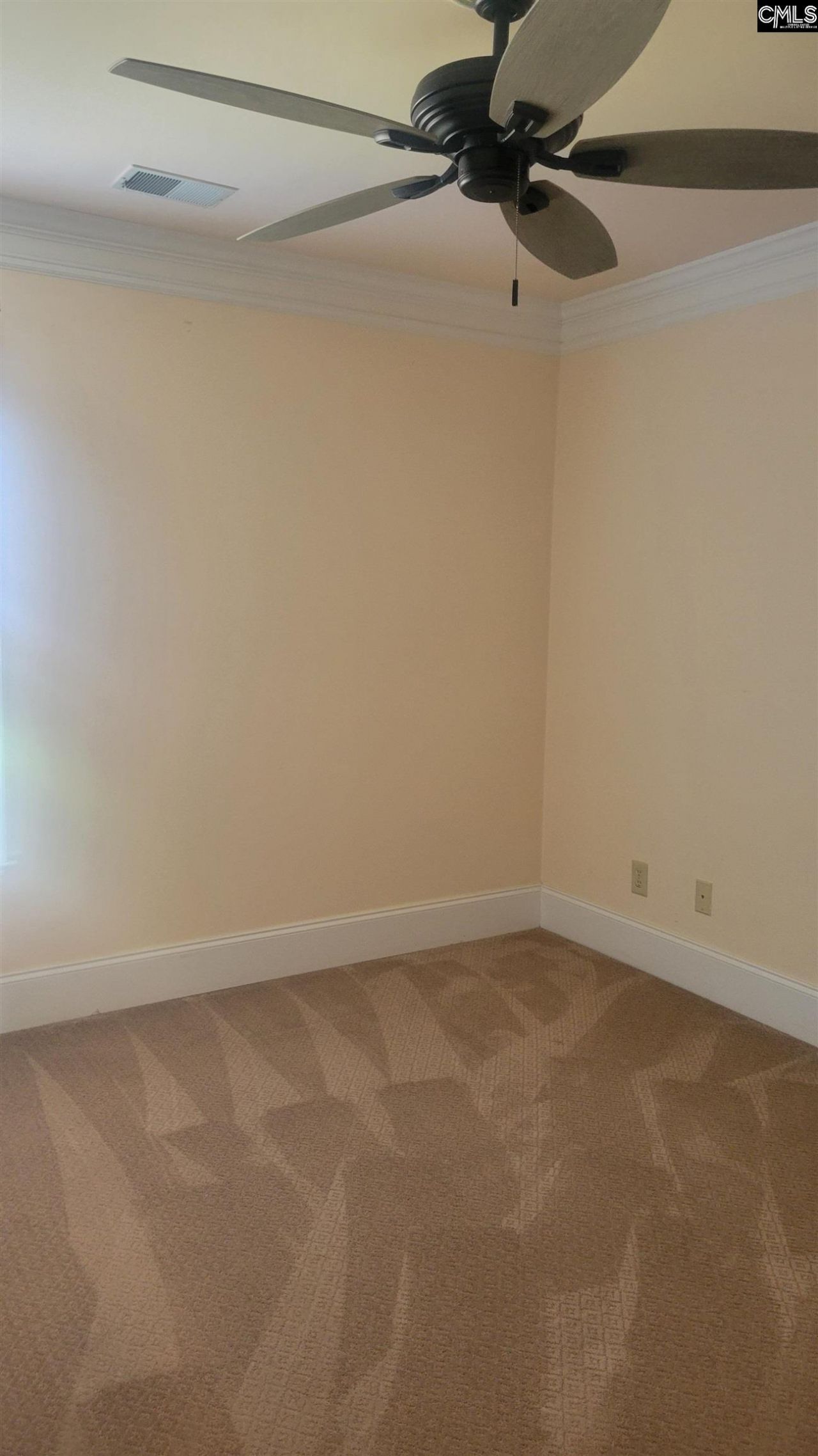 1441 Old Chapin Road Photo 38