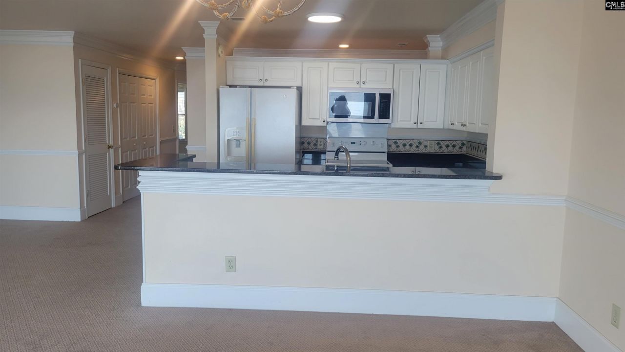 1441 Old Chapin Road Photo 42