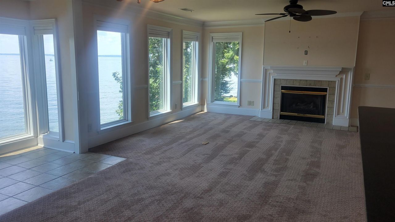 1441 Old Chapin Road Photo 43