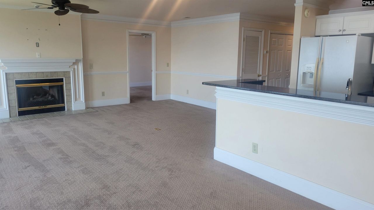 1441 Old Chapin Road Photo 44