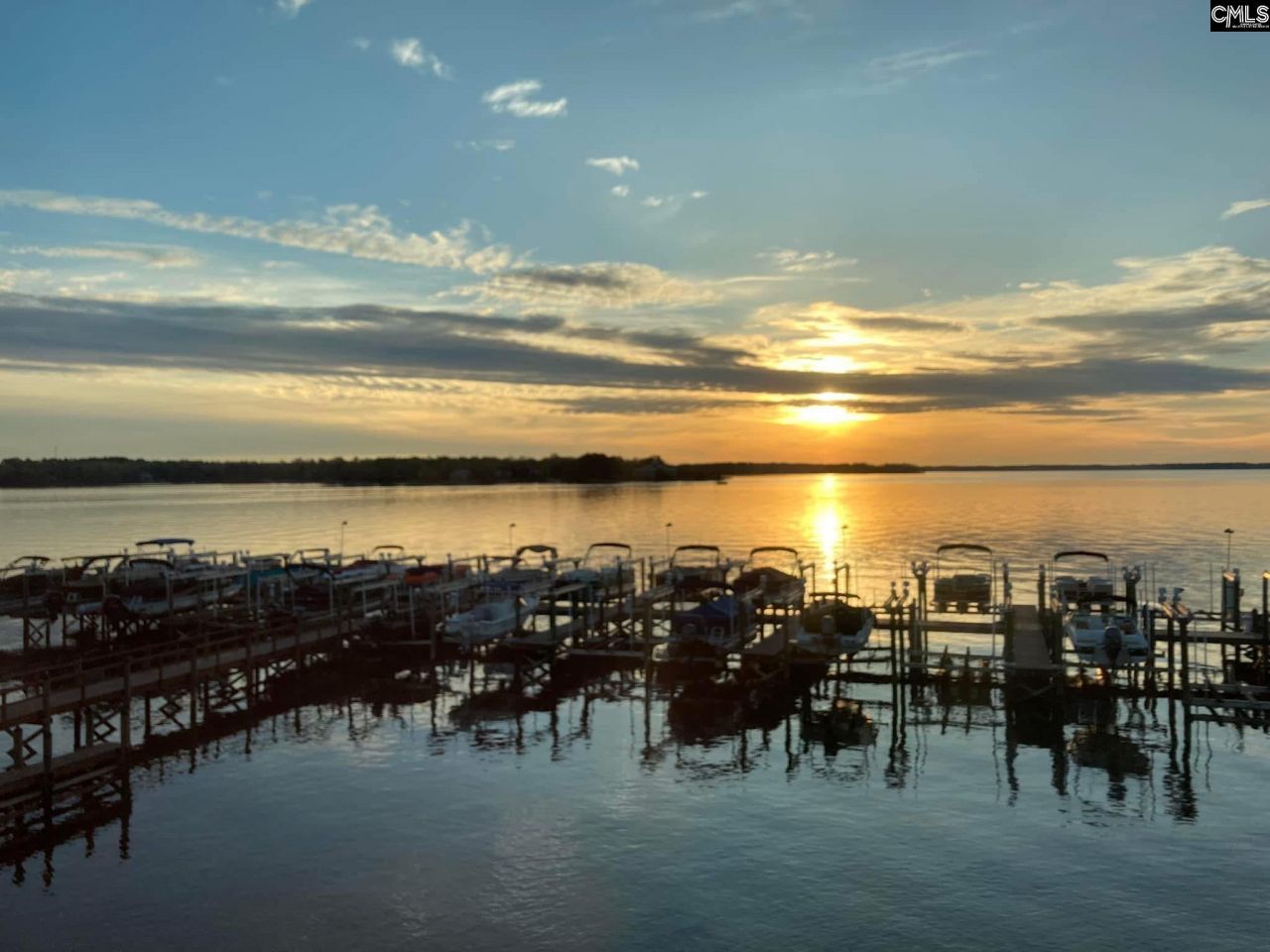 1441 Old Chapin Road Photo 46