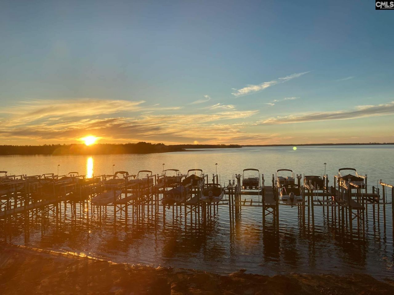 1441 Old Chapin Road Photo 48