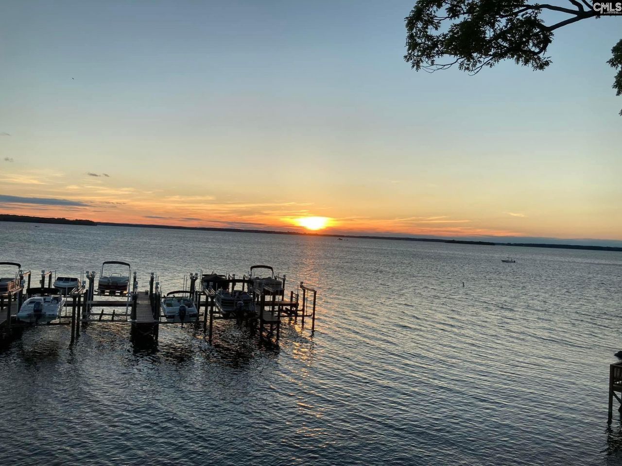 1441 Old Chapin Road Photo 49