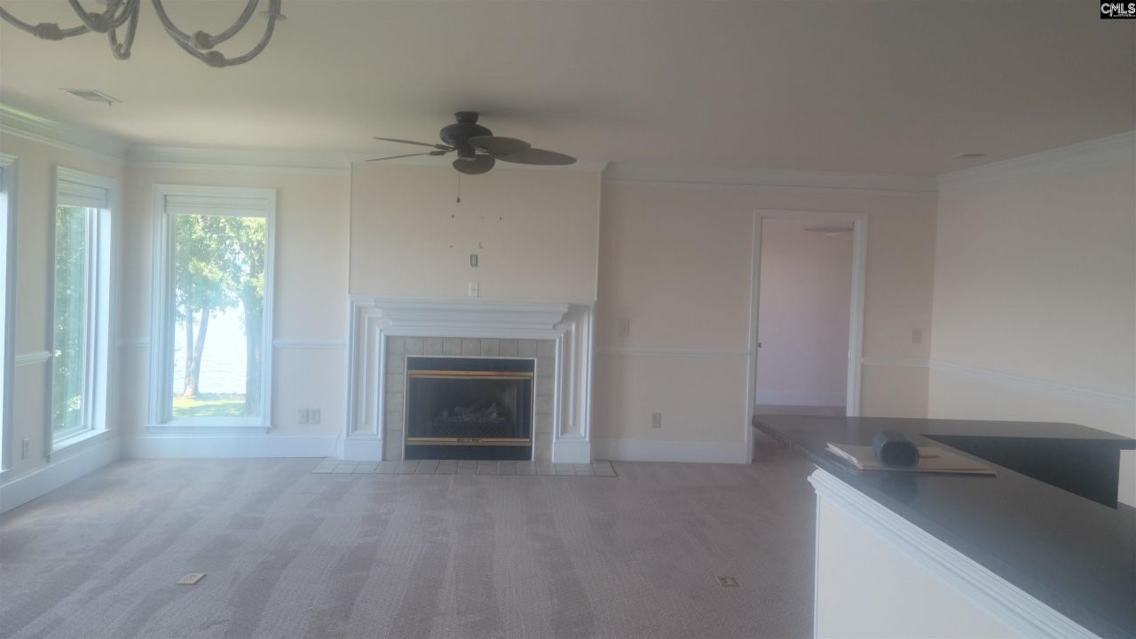 1441 Old Chapin Road Photo 5