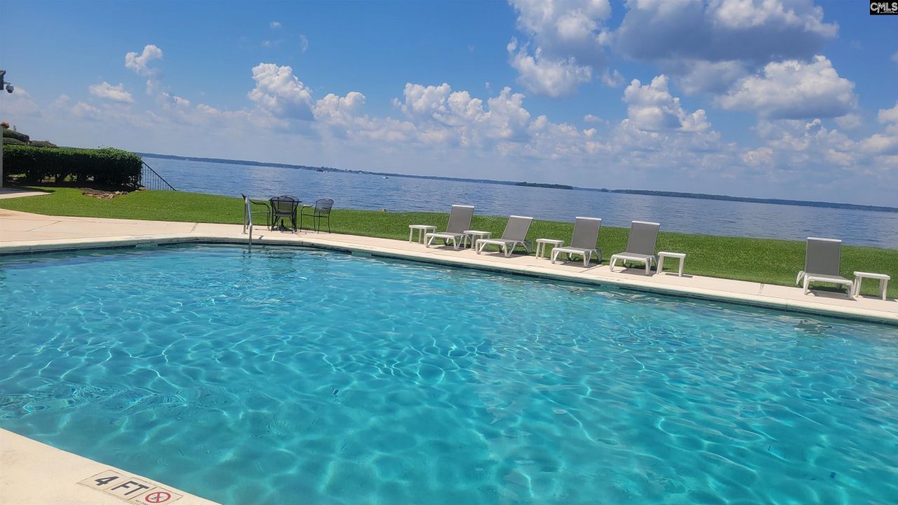 1441 Old Chapin Road Photo 58