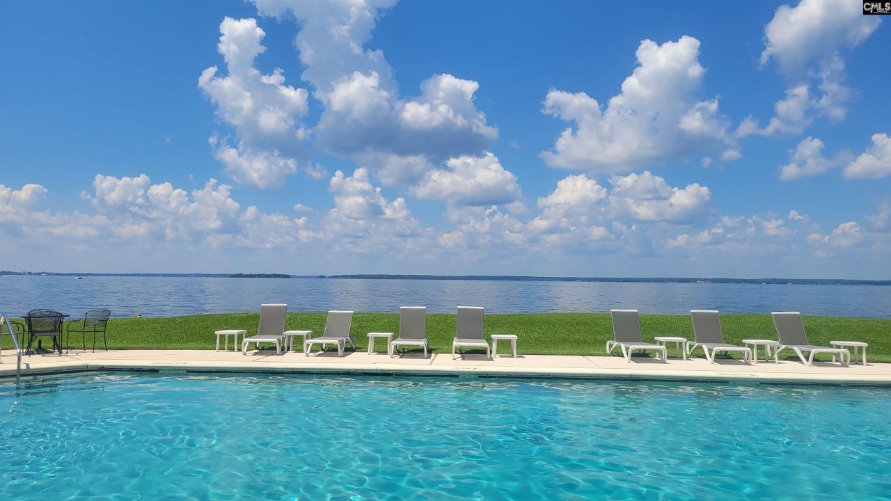 1441 Old Chapin Road Photo 59